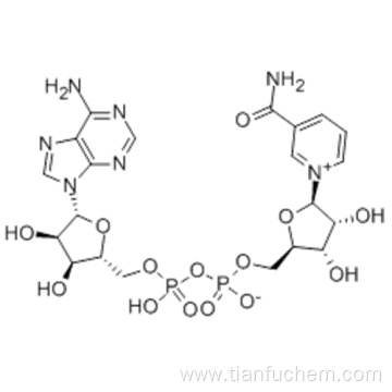 beta-Diphosphopyridine nucleotide CAS 53-84-9